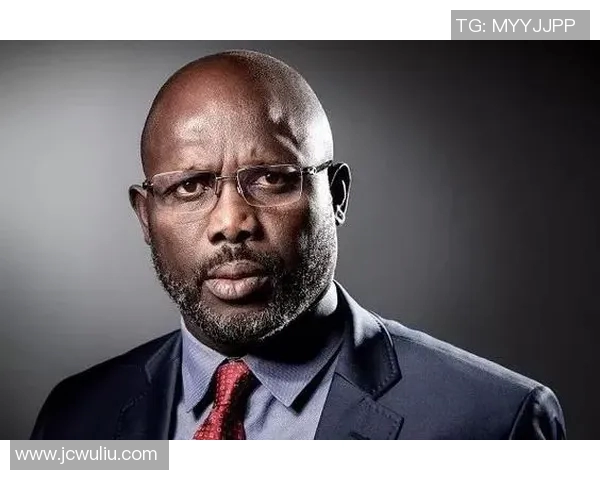 足球明星小狐狸的成长历程与辉煌成就解析