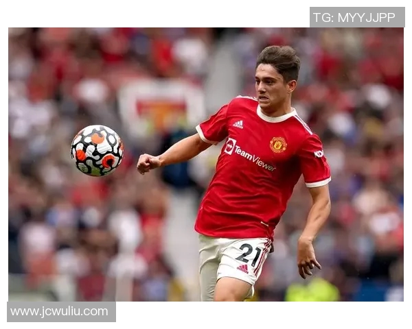 威尔士国家足球明星的辉煌历程与未来展望